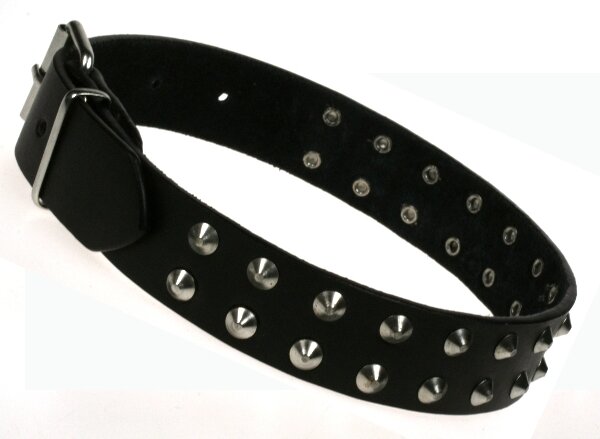 schwarzes Lederhalsband, zwei Reihen Nieten, Schnallenverschluss, verstellbarer Verschluss